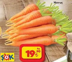 HAVUÇ KG HAVUÇ KG